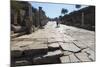 Tourists on Curates Street-Eleanor-Mounted Photographic Print