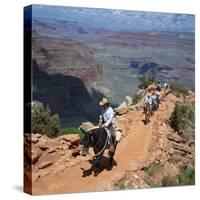 Tourists on Horseback Returning from Trekking in the Grand Canyon, Arizona, USA-Tony Gervis-Stretched Canvas