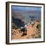 Tourists on Horseback Returning from Trekking in the Grand Canyon, Arizona, USA-Tony Gervis-Framed Photographic Print