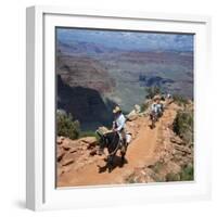 Tourists on Horseback Returning from Trekking in the Grand Canyon, Arizona, USA-Tony Gervis-Framed Photographic Print