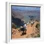 Tourists on Horseback Returning from Trekking in the Grand Canyon, Arizona, USA-Tony Gervis-Framed Photographic Print