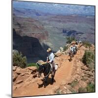 Tourists on Horseback Returning from Trekking in the Grand Canyon, Arizona, USA-Tony Gervis-Mounted Photographic Print