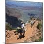 Tourists on Horseback Returning from Trekking in the Grand Canyon, Arizona, USA-Tony Gervis-Mounted Photographic Print