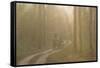 Tourists on Morning Safari, Kanha, Madhya Pradesh, India, Asia-Balan Madhavan-Framed Stretched Canvas