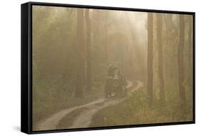 Tourists on Morning Safari, Kanha, Madhya Pradesh, India, Asia-Balan Madhavan-Framed Stretched Canvas