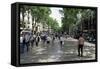 Tourists on Promenade, Rambla De Canaletes, Barcelona, Catalonia, Spain-Jeremy Bright-Framed Stretched Canvas