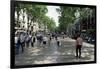 Tourists on Promenade, Rambla De Canaletes, Barcelona, Catalonia, Spain-Jeremy Bright-Framed Photographic Print