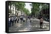 Tourists on Promenade, Rambla De Canaletes, Barcelona, Catalonia, Spain-Jeremy Bright-Framed Stretched Canvas