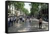 Tourists on Promenade, Rambla De Canaletes, Barcelona, Catalonia, Spain-Jeremy Bright-Framed Stretched Canvas