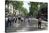 Tourists on Promenade, Rambla De Canaletes, Barcelona, Catalonia, Spain-Jeremy Bright-Stretched Canvas