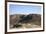 Tourists on Safari in Open Jeep, Ranthambore National Park, Rajasthan, India, Asia-Peter Barritt-Framed Photographic Print