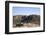 Tourists on Safari in Open Jeep, Ranthambore National Park, Rajasthan, India, Asia-Peter Barritt-Framed Photographic Print