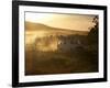 Tourists on Safari in the Masai Mara National Reserve, Kenya, East Africa, Africa-Andrew Mcconnell-Framed Photographic Print