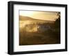 Tourists on Safari in the Masai Mara National Reserve, Kenya, East Africa, Africa-Andrew Mcconnell-Framed Photographic Print