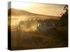 Tourists on Safari in the Masai Mara National Reserve, Kenya, East Africa, Africa-Andrew Mcconnell-Stretched Canvas