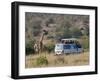 Tourists on Safari Watching Giraffes, Masai Mara National Reserve, Kenya, East Africa, Africa-Sergio Pitamitz-Framed Photographic Print