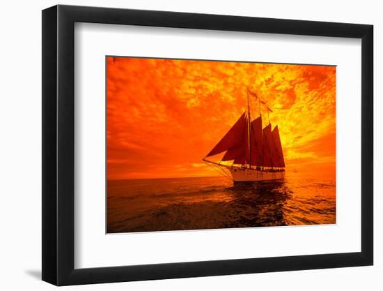 Tourists on Sailboat in the Pacific Ocean, Dana Point Harbor, Dana Point, Orange County, CA-null-Framed Photographic Print