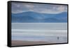 Tourists on the beach, Inch Strand, Dingle Peninsula, County Kerry, Munster Province, Ireland-null-Framed Stretched Canvas