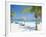 Tourists on the Beach-null-Framed Photographic Print