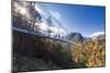 Tourists on the suspension bridge called Highline 179 framed by colorful woods in autumn, Ehrenberg-Roberto Moiola-Mounted Photographic Print