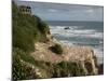 Tourists on viewing platform looking at gannet bird colony, Muriwai Beach, Auckland, North Islan...-null-Mounted Photographic Print