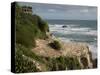 Tourists on viewing platform looking at gannet bird colony, Muriwai Beach, Auckland, North Islan...-null-Stretched Canvas