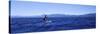 Tourists Paddle Boarding in a Lake, Lake Tahoe, California, USA-null-Stretched Canvas