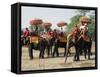 Tourists Riding Elephants in Traditional Royal Style, Ayuthaya, Thailand, Southeast Asia-Richard Nebesky-Framed Stretched Canvas