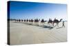 Tourists Riding on Camels on Cable Beach, Broome, Western Australia, Australia, Pacific-Michael Runkel-Stretched Canvas