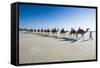Tourists Riding on Camels on Cable Beach, Broome, Western Australia, Australia, Pacific-Michael Runkel-Framed Stretched Canvas