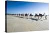 Tourists Riding on Camels on Cable Beach, Broome, Western Australia, Australia, Pacific-Michael Runkel-Stretched Canvas