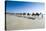 Tourists Riding on Camels on Cable Beach, Broome, Western Australia, Australia, Pacific-Michael Runkel-Stretched Canvas