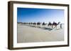 Tourists Riding on Camels on Cable Beach, Broome, Western Australia, Australia, Pacific-Michael Runkel-Framed Photographic Print