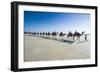 Tourists Riding on Camels on Cable Beach, Broome, Western Australia, Australia, Pacific-Michael Runkel-Framed Photographic Print