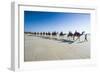 Tourists Riding on Camels on Cable Beach, Broome, Western Australia, Australia, Pacific-Michael Runkel-Framed Photographic Print