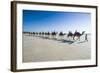 Tourists Riding on Camels on Cable Beach, Broome, Western Australia, Australia, Pacific-Michael Runkel-Framed Photographic Print