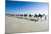 Tourists Riding on Camels on Cable Beach, Broome, Western Australia, Australia, Pacific-Michael Runkel-Mounted Photographic Print