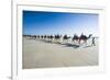 Tourists Riding on Camels on Cable Beach, Broome, Western Australia, Australia, Pacific-Michael Runkel-Framed Photographic Print