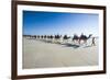 Tourists Riding on Camels on Cable Beach, Broome, Western Australia, Australia, Pacific-Michael Runkel-Framed Photographic Print