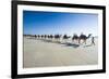 Tourists Riding on Camels on Cable Beach, Broome, Western Australia, Australia, Pacific-Michael Runkel-Framed Photographic Print