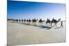 Tourists Riding on Camels on Cable Beach, Broome, Western Australia, Australia, Pacific-Michael Runkel-Mounted Photographic Print