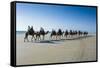 Tourists Riding on Camels on Cable Beach, Broome, Western Australia, Australia, Pacific-Michael Runkel-Framed Stretched Canvas