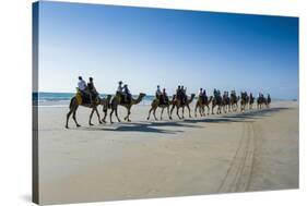 Tourists Riding on Camels on Cable Beach, Broome, Western Australia, Australia, Pacific-Michael Runkel-Stretched Canvas