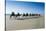 Tourists Riding on Camels on Cable Beach, Broome, Western Australia, Australia, Pacific-Michael Runkel-Stretched Canvas