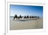 Tourists Riding on Camels on Cable Beach, Broome, Western Australia, Australia, Pacific-Michael Runkel-Framed Photographic Print