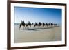 Tourists Riding on Camels on Cable Beach, Broome, Western Australia, Australia, Pacific-Michael Runkel-Framed Photographic Print