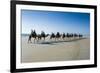 Tourists Riding on Camels on Cable Beach, Broome, Western Australia, Australia, Pacific-Michael Runkel-Framed Photographic Print