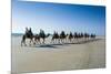 Tourists Riding on Camels on Cable Beach, Broome, Western Australia, Australia, Pacific-Michael Runkel-Mounted Photographic Print