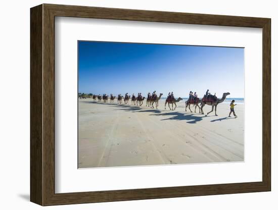 Tourists Riding on Camels on Cable Beach, Broome, Western Australia, Australia, Pacific-Michael Runkel-Framed Photographic Print