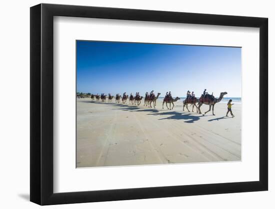 Tourists Riding on Camels on Cable Beach, Broome, Western Australia, Australia, Pacific-Michael Runkel-Framed Photographic Print